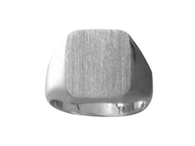 Chevalière massive tournée doigt, plateau 15 x 13 mm, Or gris Pd 12. Réf. 31, doigt 49 - Image Standard - 1