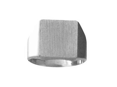 Chevalière massive tournée doigt, plateau 14 x 12 mm, Or gris 18k Pd 12. Réf. 423/12, doigt 50 - Image Standard - 1