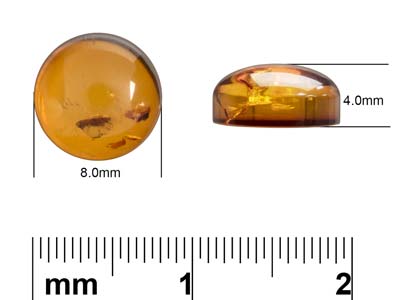Ambre naturel, cabochon rond 8 mm - Image Standard - 4