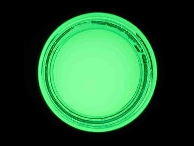 Résine Epoxy phosphorescente verte, Réf. ES8533, pot de 30 g