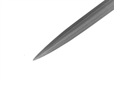 Lime demi ronde LP1560-8-0, 200 mm G00, Vallorbe - Image Standard - 3