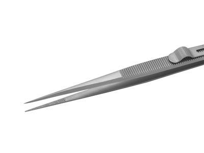 Brucelle à tenon coulisse, longueur 165 mm - Image Standard - 2