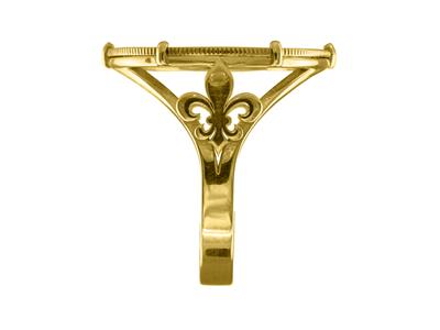 Bague porte-pièce 20 francs, serti 6 griffes, personnalisable, Or jaune 18k - Image Standard - 2