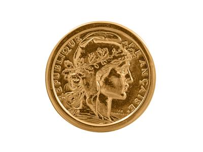 Bague porte-pièce 20 francs, serti clos invisible, Or rose 18k 4N - Image Standard - 5