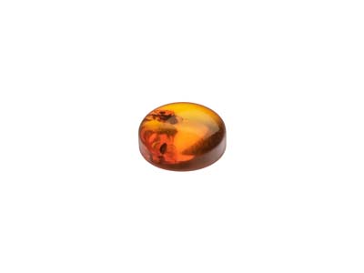 Ambre naturel, cabochon rond 5 mm - Image Standard - 3