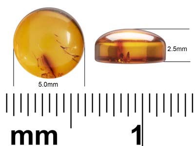 Ambre naturel, cabochon rond 5 mm - Image Standard - 4