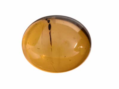 Ambre naturel, cabochon ovale 12 x 10 mm