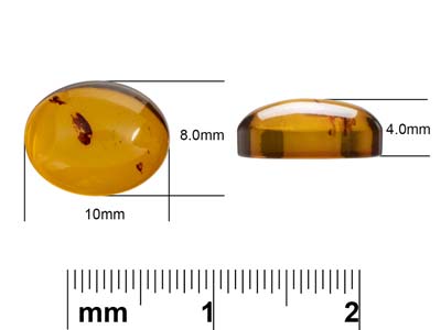 Ambre naturel, cabochon ovale 10 x 8 mm - Image Standard - 4