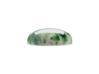 Agate mousse, cabochon ovale 10 x 8 mm - Image Standard - 2