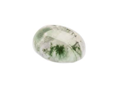 Agate mousse, cabochon ovale 10 x 8 mm - Image Standard - 3