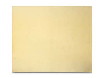 Chamoisine polyvalente et universelle, 35 x 43 cm, Selvyt - Image Standard - 2
