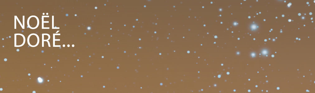 Pour un Noël en or !