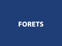 Forets