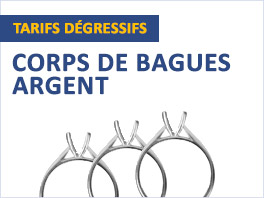 Corps de bagues Argent