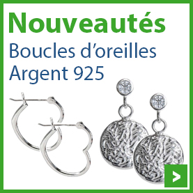 Boucles d'oreilles Argent